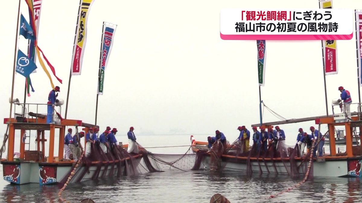 「観光鯛網」始まる　福山市・初夏の風物詩