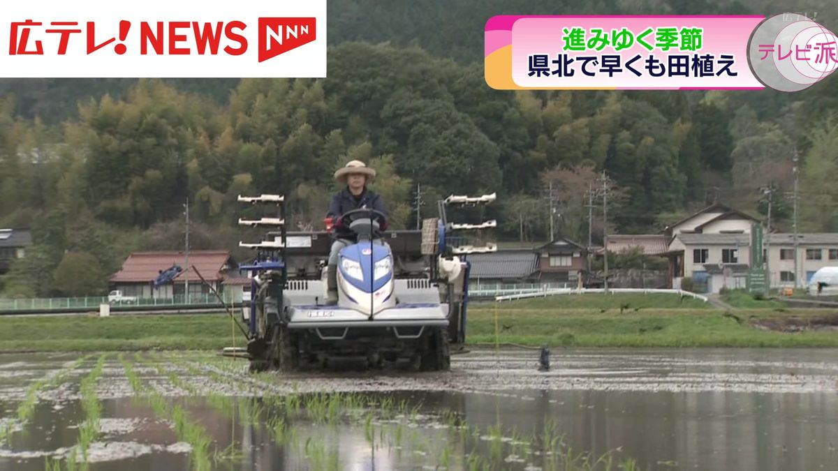 広島県北部で田植え始まる　例年より10日早い　安芸高田市