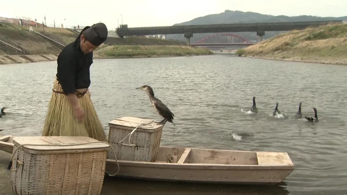 三次で“鵜慣らし祭”　6月本番を前に鵜をトレーニング　広島　