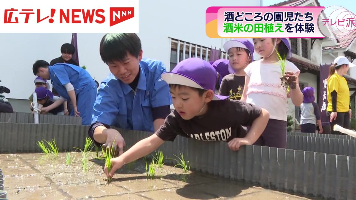 幼稚園児が酒造りに使われる酒米の田植え体験　広島・東広島市