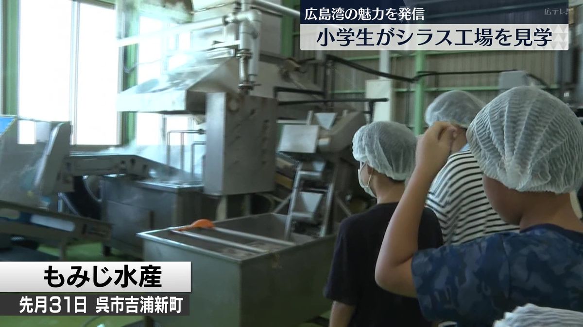 広島湾の魅力を発信　小学生がシラス工場を見学