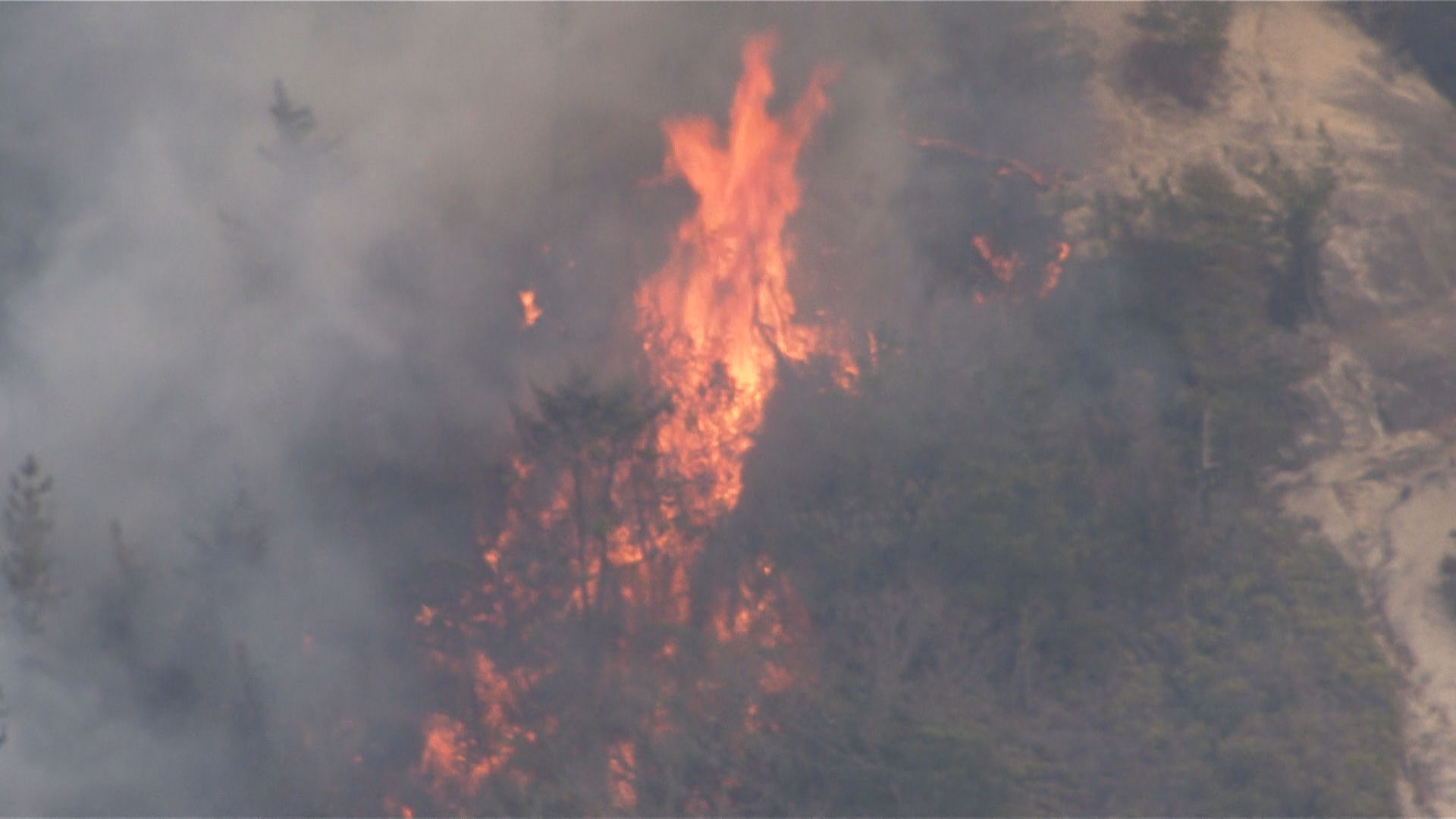 続報】江田島市で山火事 自衛隊射撃場から出火の可能性 爆薬を使用した