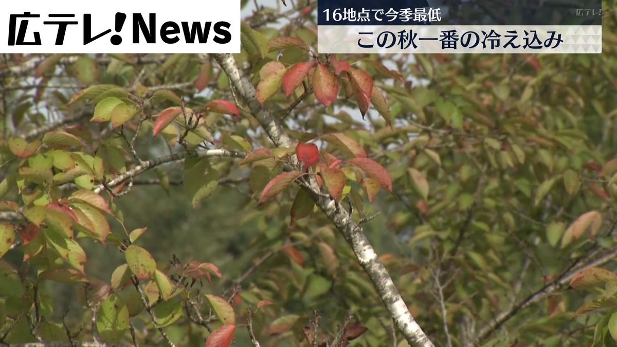 広島県内１６地点で今季最低　この秋一番の冷え込み