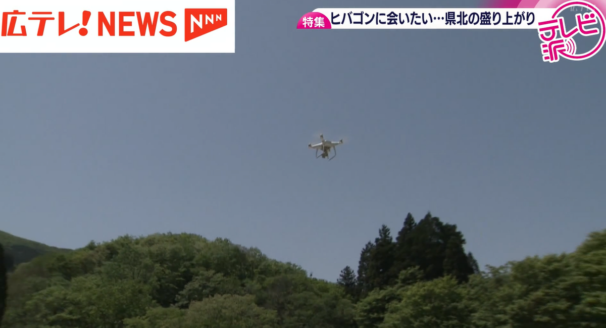 2ページ目 【特集】もしや「ヒバゴン」再来か！？ 半世紀ぶりに目撃