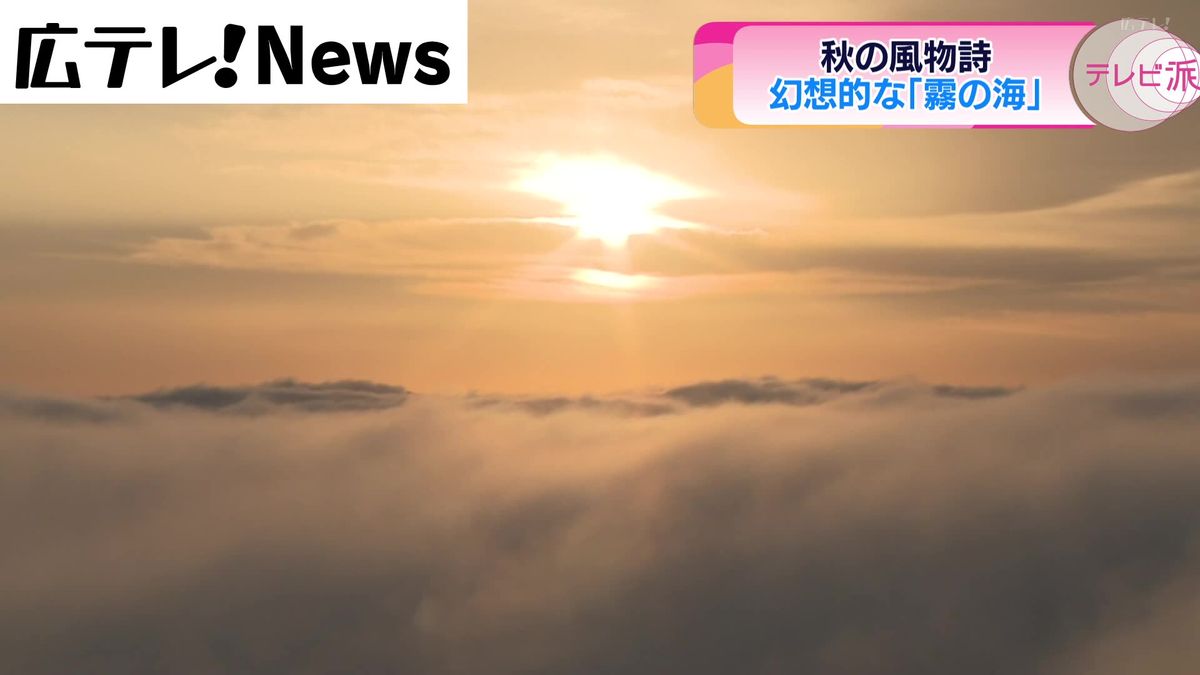 秋一番の冷え込みで幻想的な「霧の海」現れる　広島・三次市