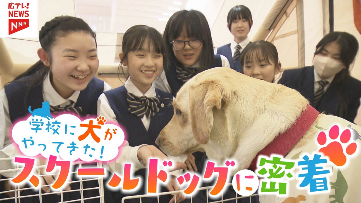 犬とともに育む思いやりの心