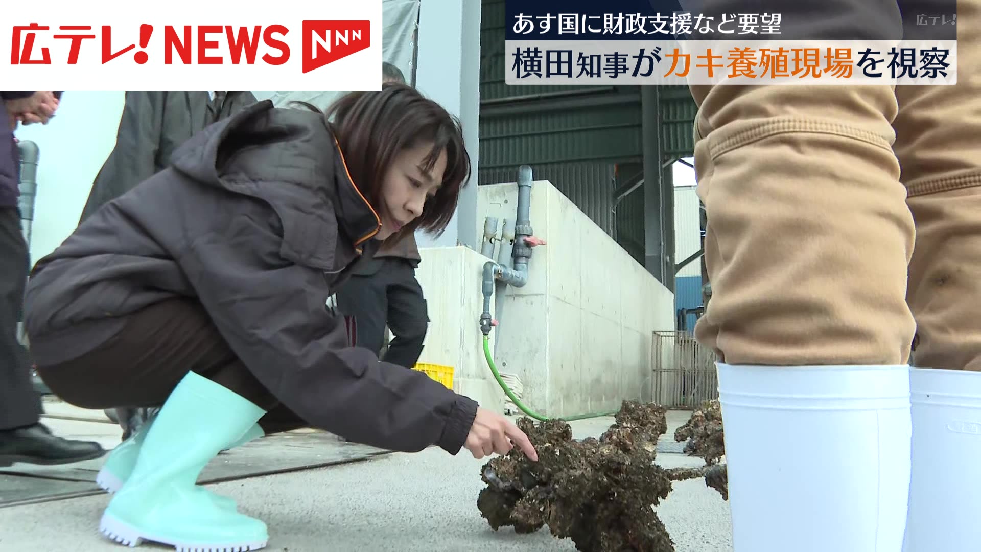 広島・カキ大量死 横田知事が生産現場を視察 国に財政支援など要望へ 広島・カキ大量死 横田知事が生産現場を視察 国に財政支援など要望へ