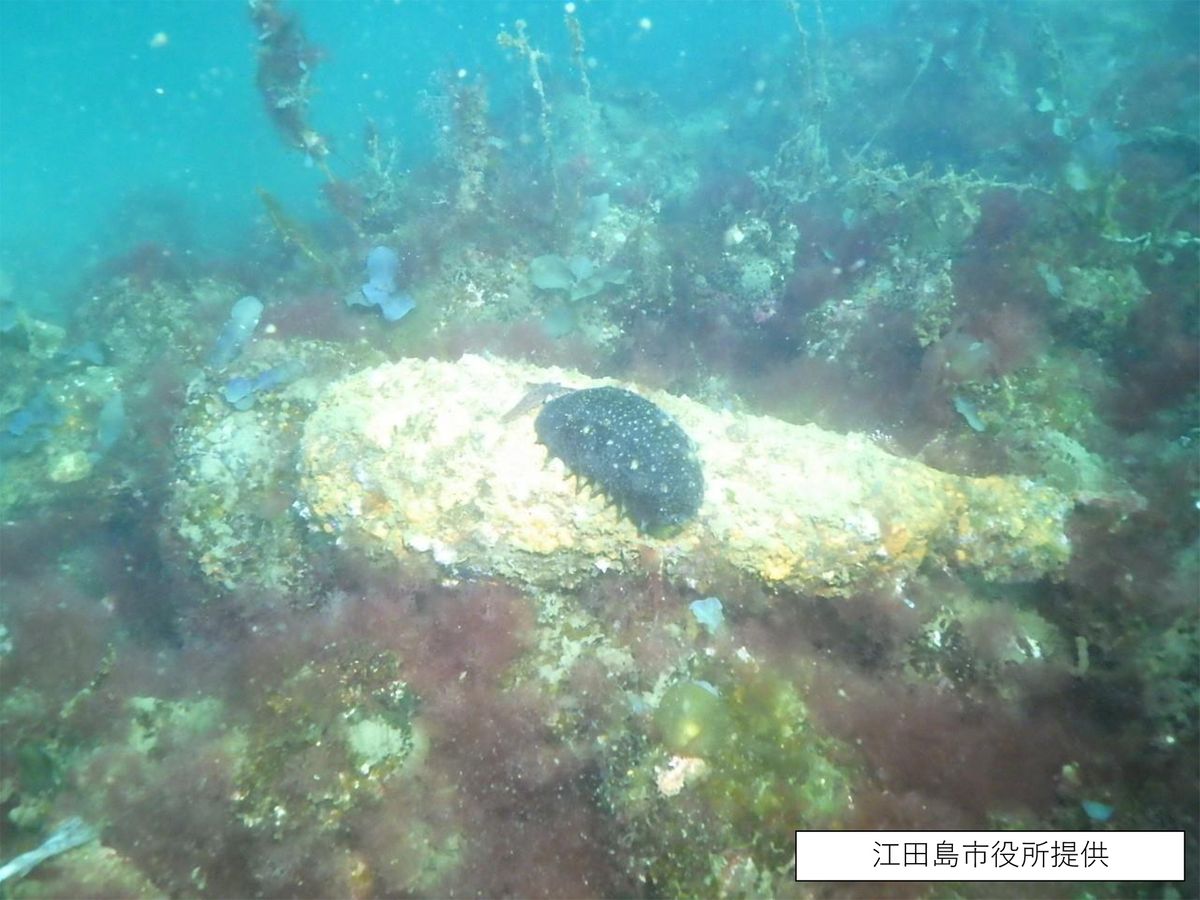 【速報】江田島市の海中で「不発弾らしきもの」発見　　広島　