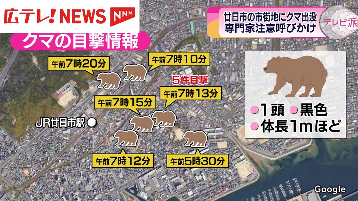 廿日市市の市街地でクマの目撃情報が相次ぐ　警察や市が警戒　発見には至らず　広島