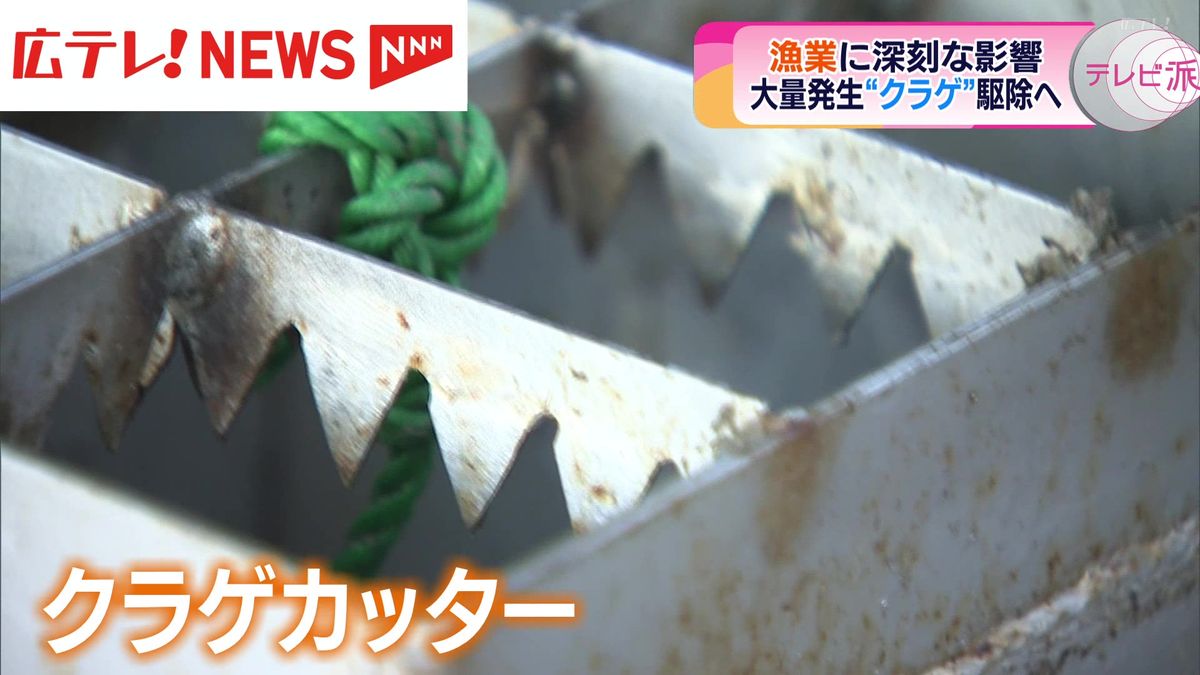 広島県東部の瀬戸内海で「クラゲ」が大量発生　「クラゲカッター」導入で効果は？
