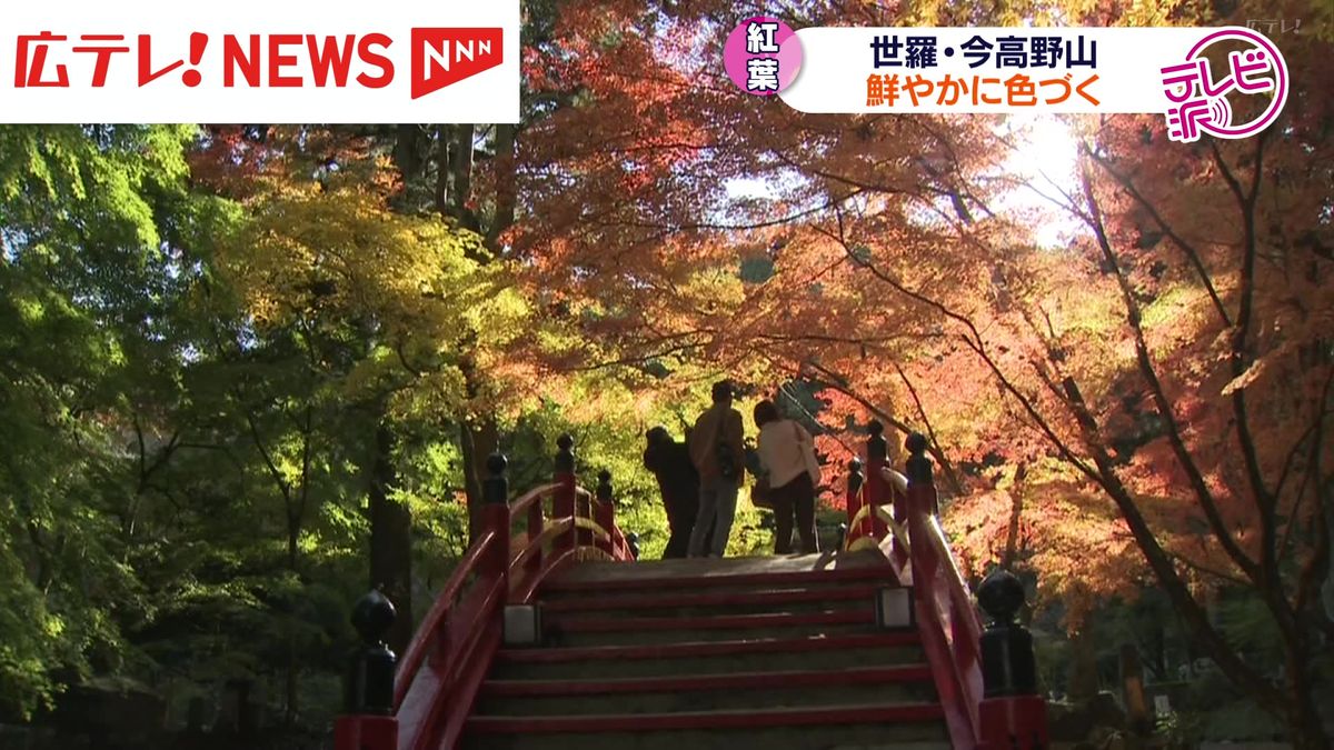 秋深まる　今高野山の紅葉が見ごろ　広島・世羅町