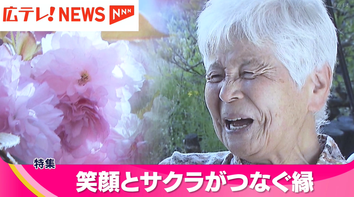【特集】隠し味は笑顔! 84歳のおばあちゃんが作る「桜の塩漬け」
