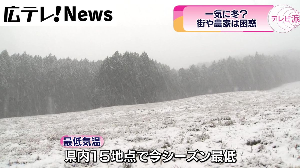 今シーズン初の積雪　野菜の収穫やタイヤ交換など大慌て　広島