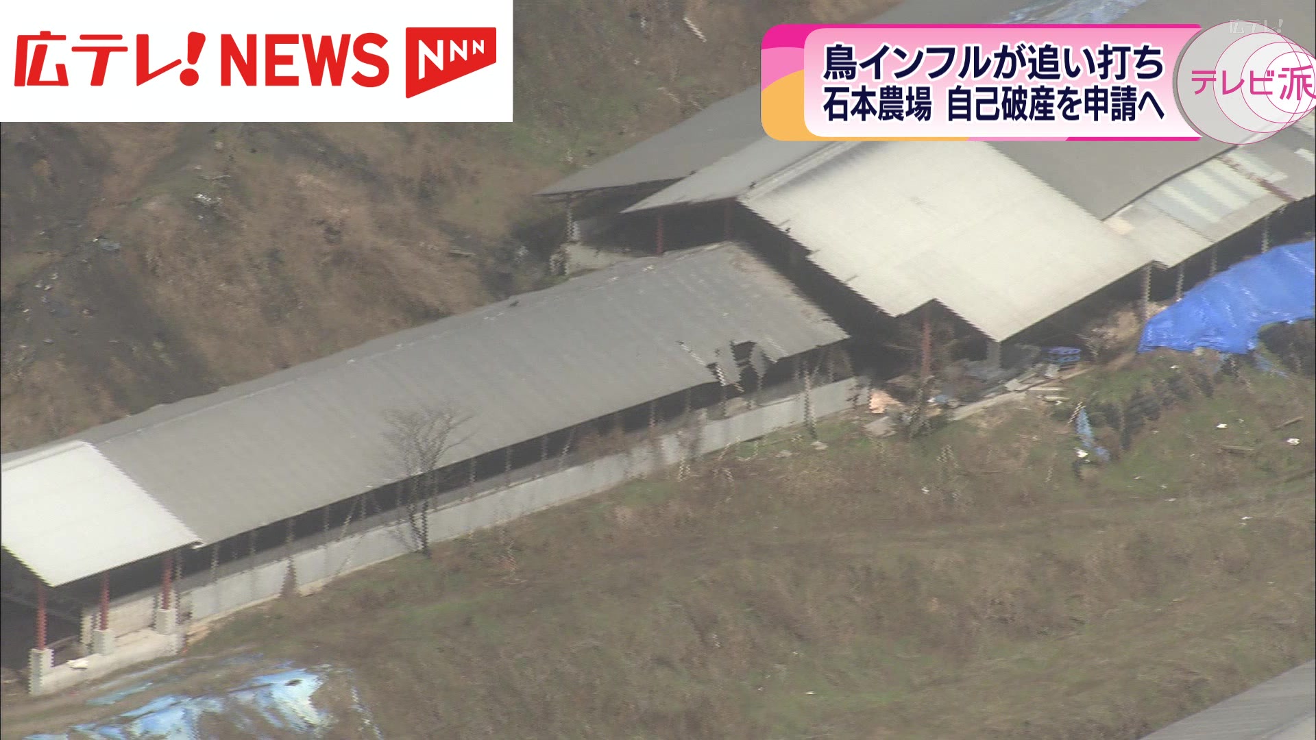 鳥インフルエンザが確認された養鶏場 自己破産を申請へ 広島・北広島町