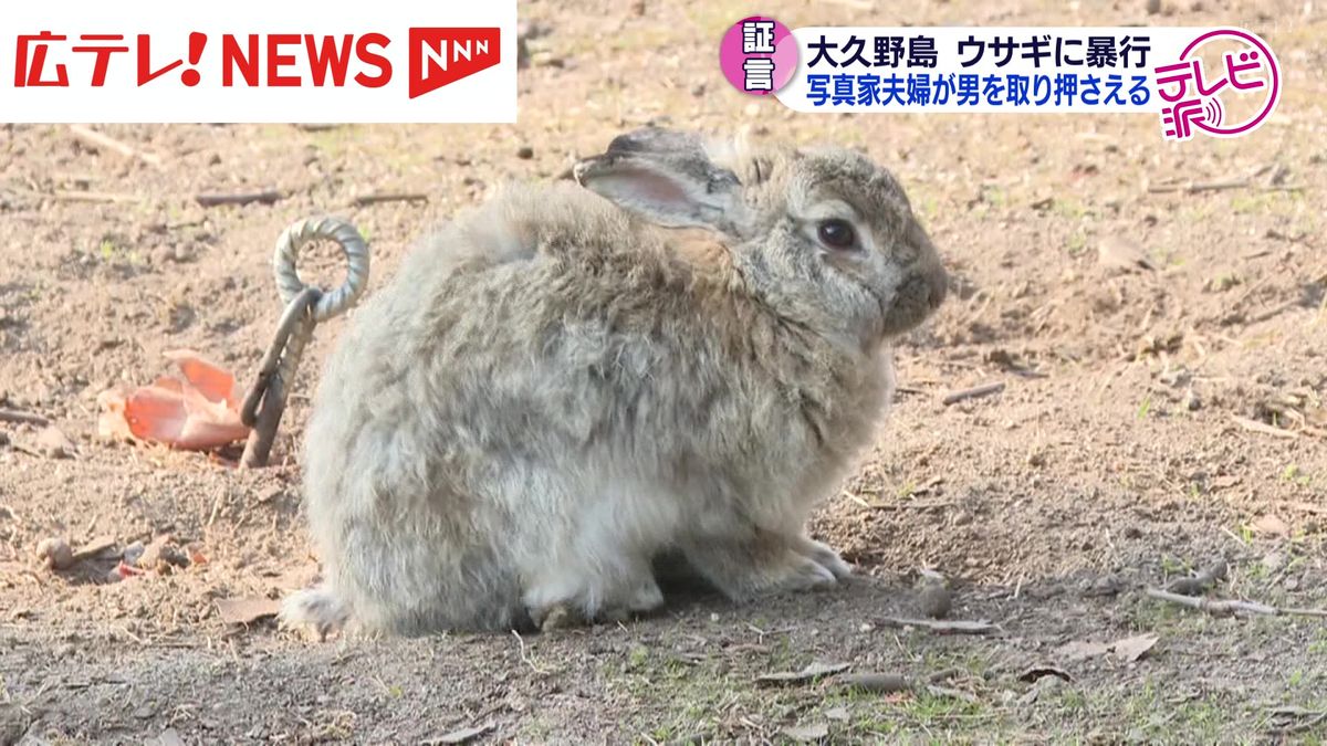 大久野島ウサギ暴行男　取り押さえた写真家の夫婦が犯行の一部始終を証言　広島