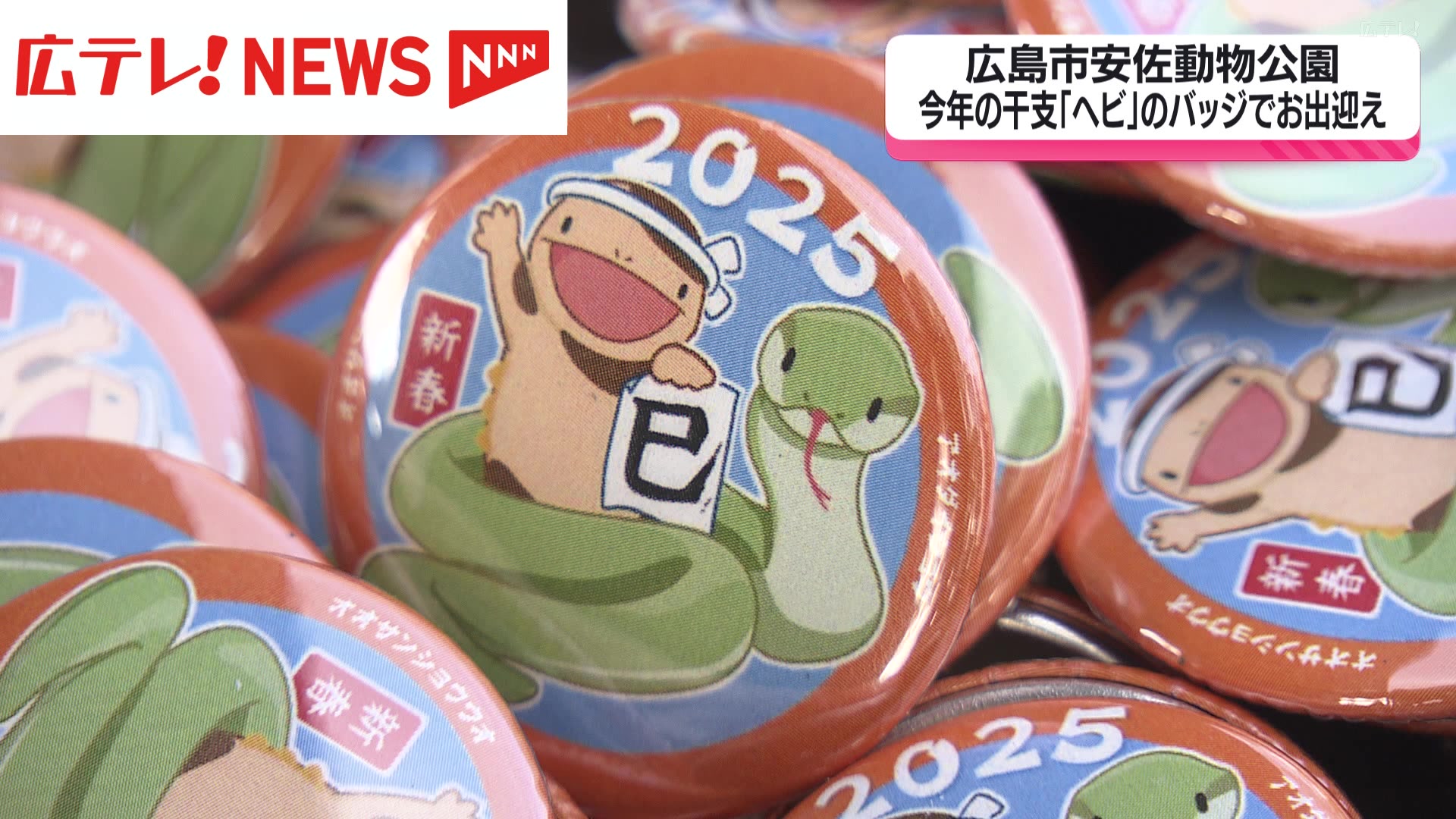 安佐動物公園で今年の干支「ヘビ」のバッジプレゼント（2025年1