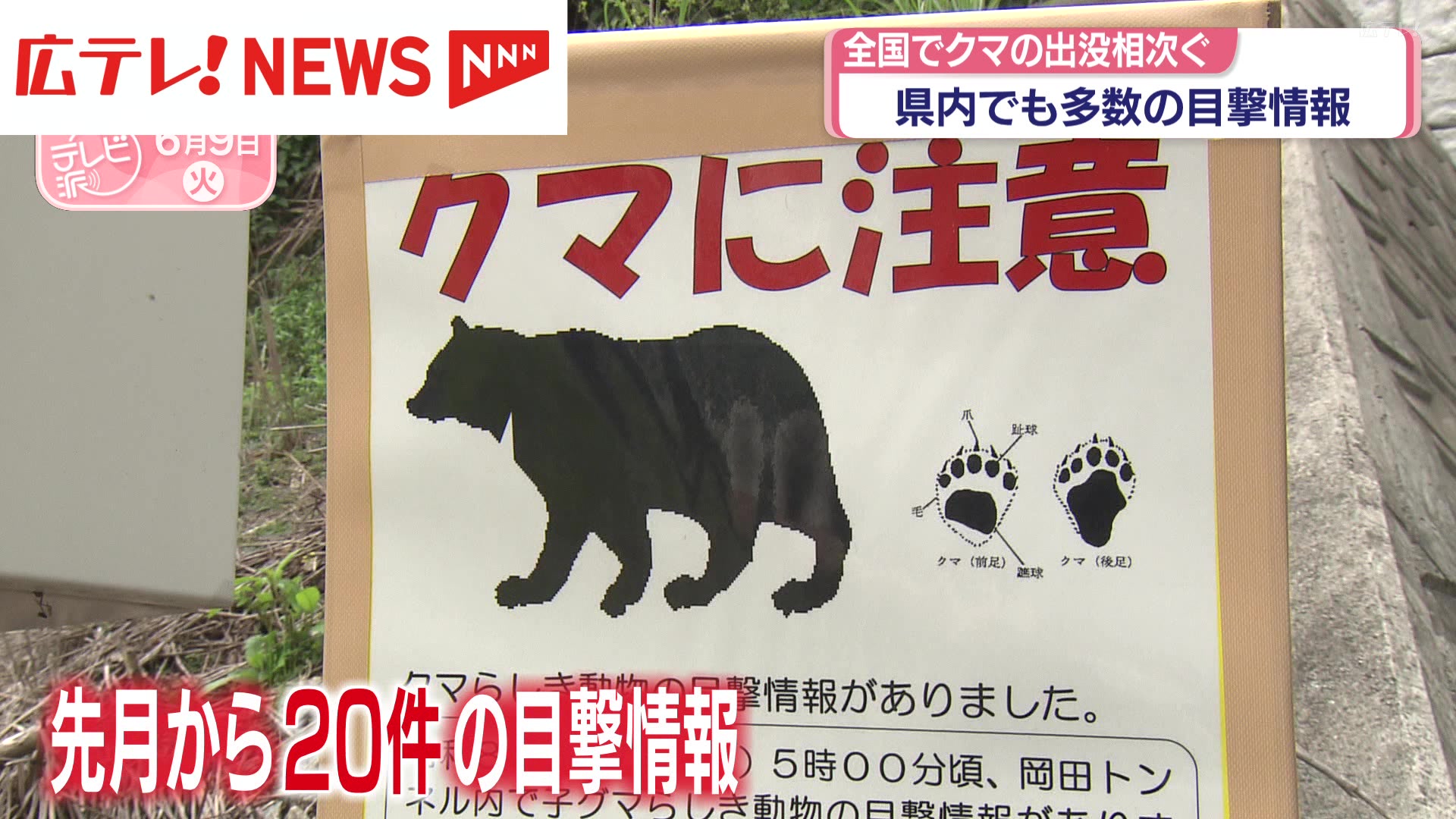 広島県内でもクマの目撃情報相次ぐ 外出時の注意を呼びかけ＆住宅での