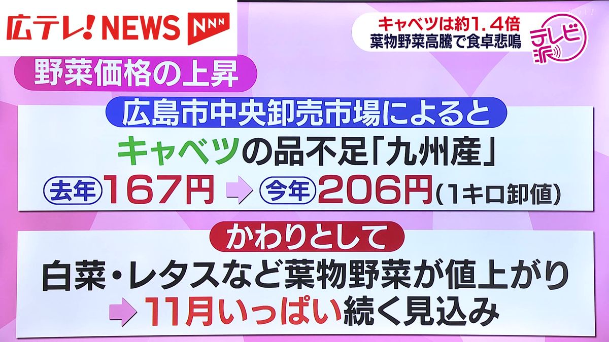 広島県内でも始まる冬支度　寒い季節に欠かせない鍋料理は葉物野菜高騰で食卓悲鳴　