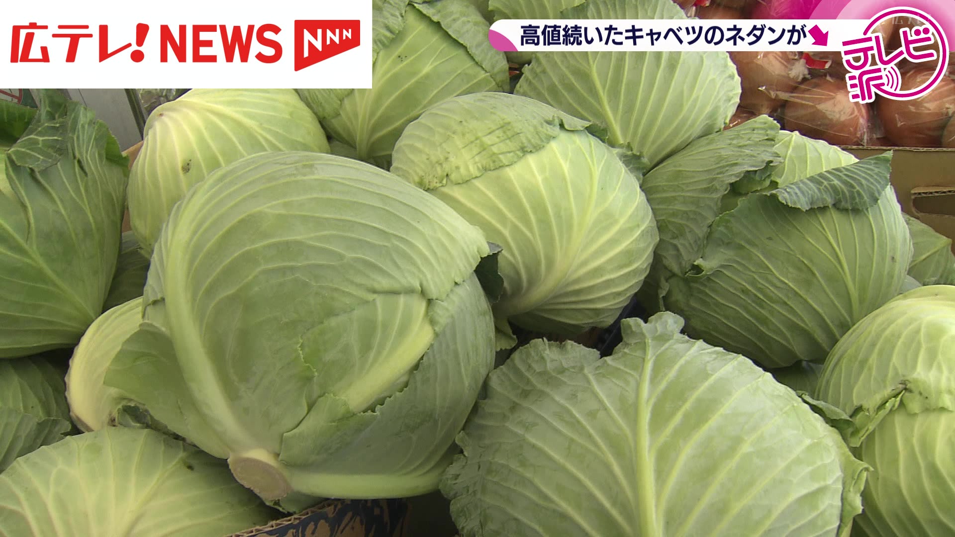 朗報】広島でも高値続いたキャベツの値段が下がった！（2025年4月17日
