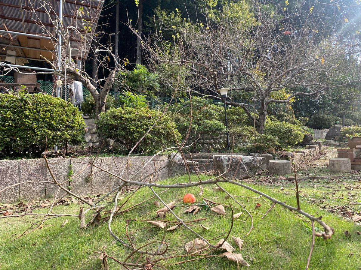 広島市で住宅の敷地内にクマが出没