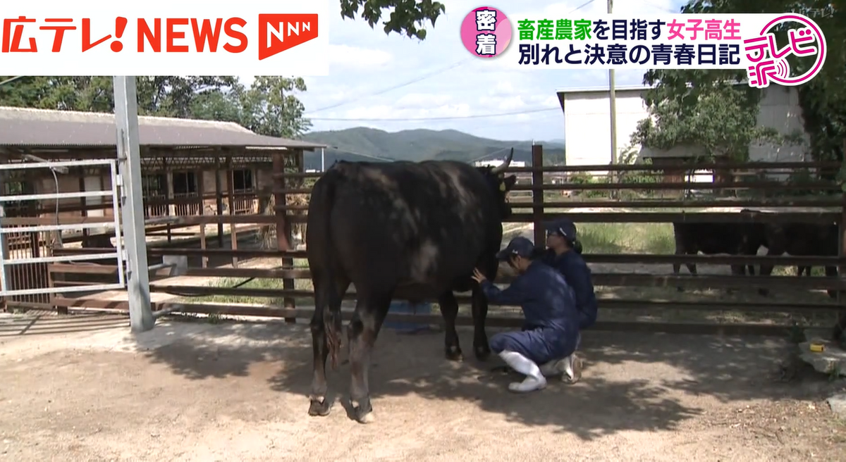 「心結（みゆ）号」と、最後の挨拶