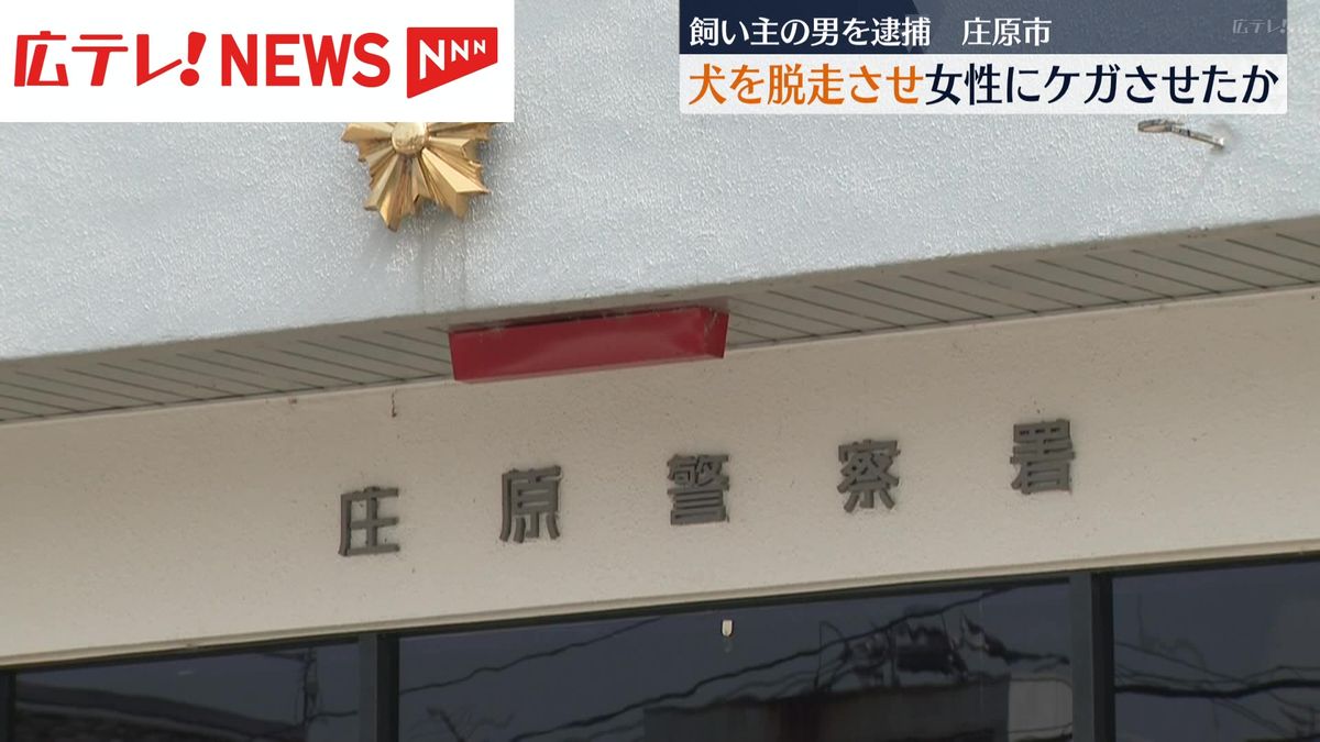 飼い主の男を逮捕　犬を脱走させ女性にケガをさせた？　広島・庄原市