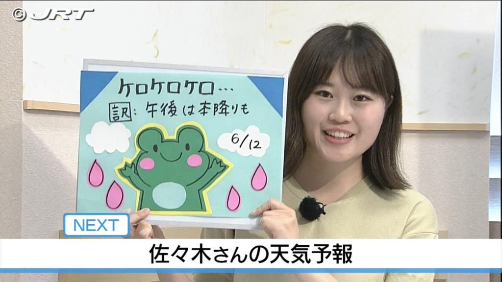 美波町で「1か月半分の雨量」　佐々木気象予報士の天気予報（11日 19：00）