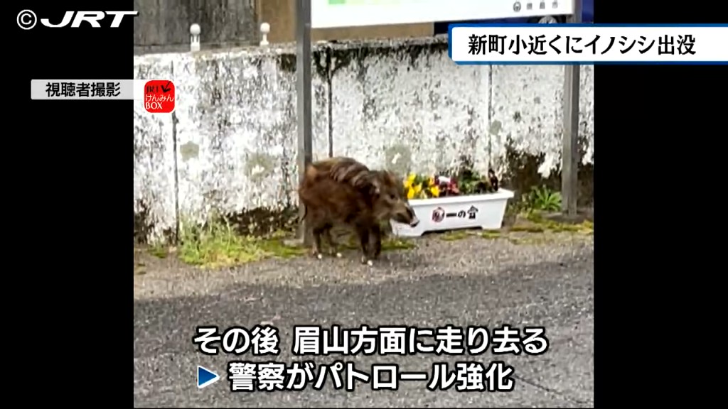 徳島市の新町小学校のすぐ近くにイノシシが出没　警察などが注意を呼び掛け【徳島】