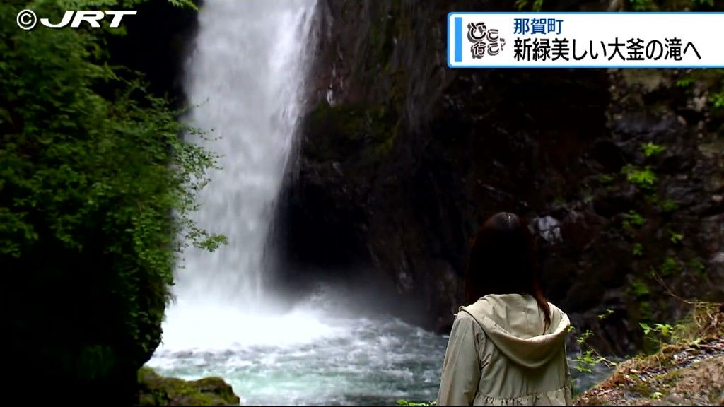美しい新緑の季節　豊成アナウンサーが美しい滝を訪ねる「どこいこ?」那賀町・後編【徳島】