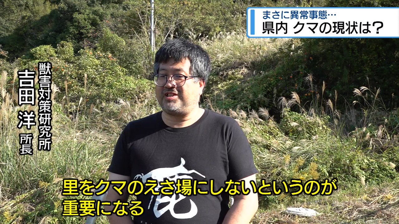 2ページ目 県内の「クマ」の現状は？ 東北で人的被害相次ぐ【徳島
