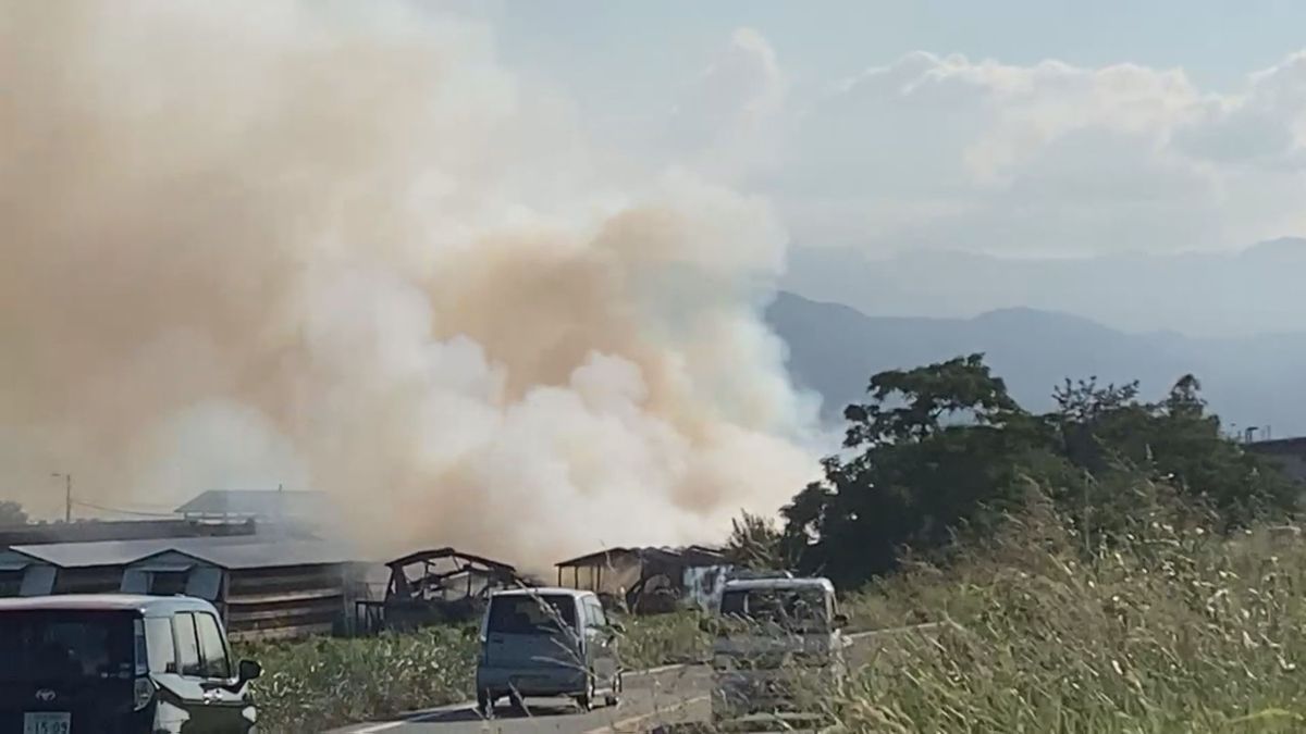 徳島 県 火事 速報