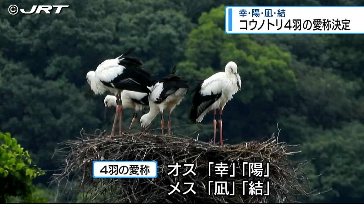 幸・陽・凪・結　4月生まれのコウノトリ4羽の愛称決定【徳島】