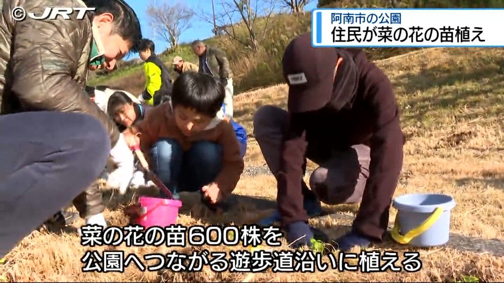 花で地元を盛り上げたい　阿南市の公園で住民らが菜の花の苗植え【徳島】