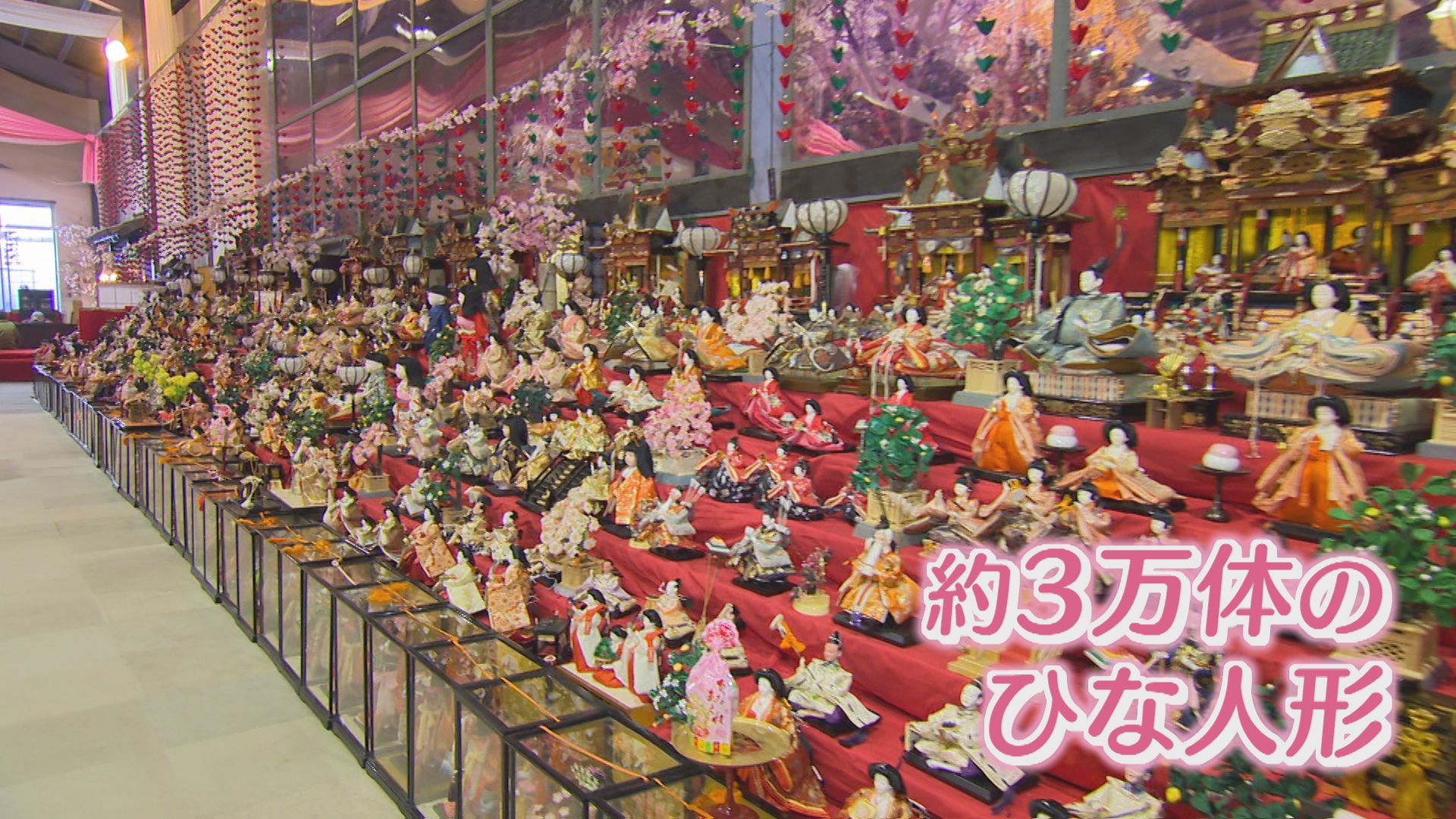 ひな人形3万体！ 勝浦町の「ビッグひな祭り」開幕【徳島】（2026年2月