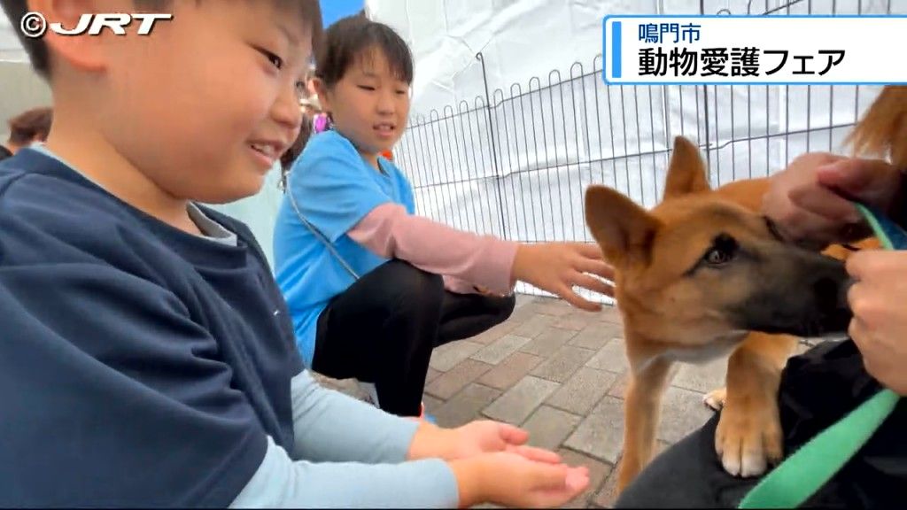 犬と触れ合い動物との関わり方を学ぶ　猫の譲渡会なども行われた鳴門市制施行77周年「動物愛護フェア」【徳島】