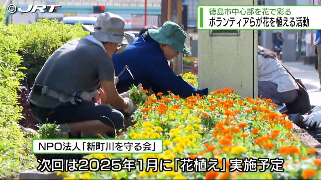 ボランティアらがJR徳島駅周辺の道路沿いにマリーゴールドの花の苗を植える活動【徳島】