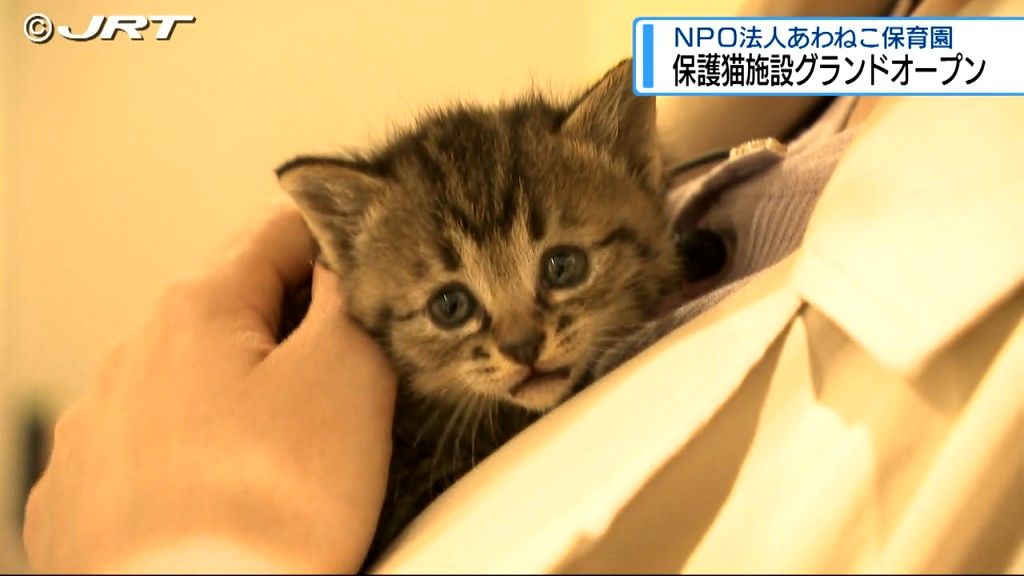 過酷な環境で暮らす猫が1匹でも減るように　新しい保護猫施設が徳島市にグランドオープン【徳島】　
