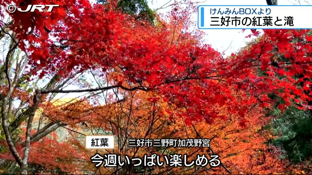 三好市の紅葉と滝が織りなす自然の景観　四国放送「けんみんボックス」に届く【徳島】