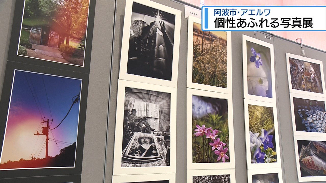 阿波市で個性あふれる写真展 日常や自然切り取った156点展示【徳島