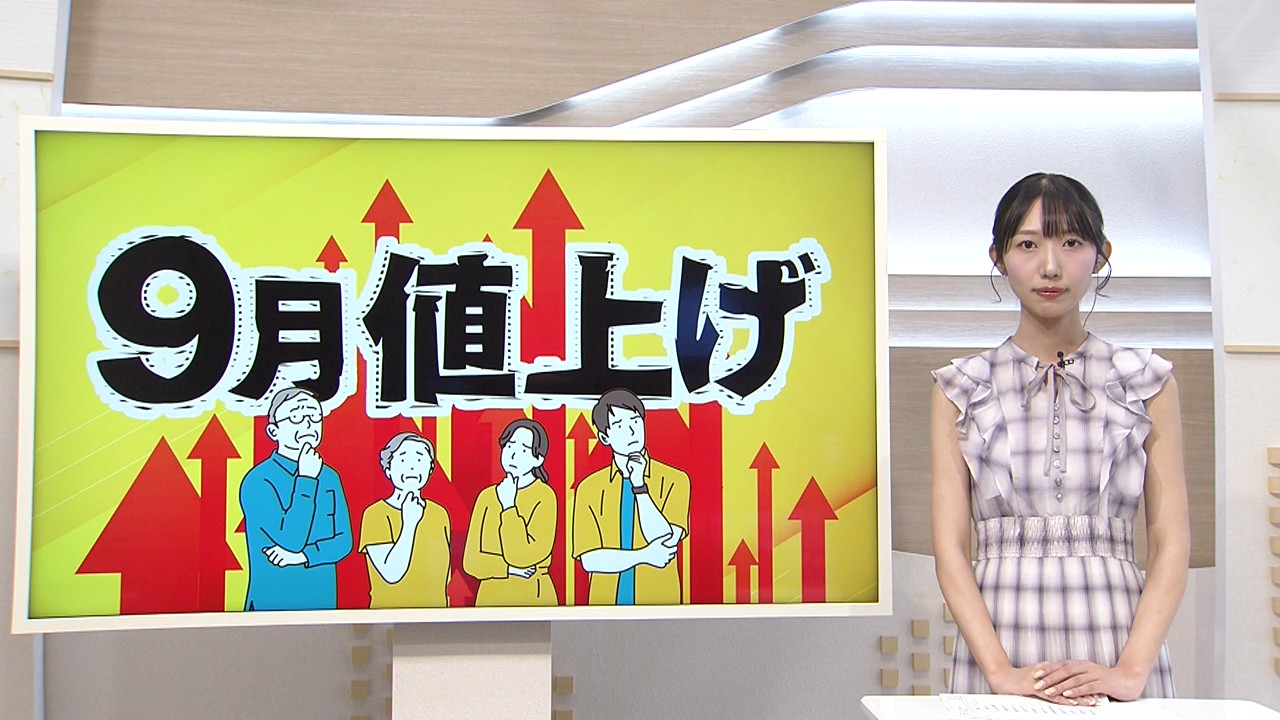 9月は最大の値上げラッシュ 調味料など「4923品目」【徳島】（2026年9