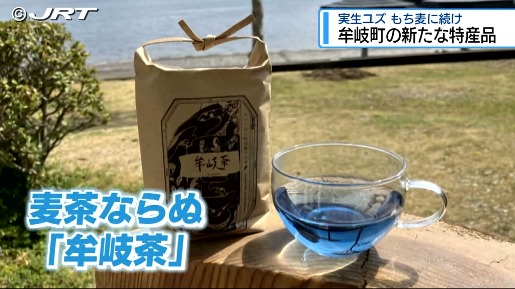 青く澄んだ牟岐町の海のよう　スーパーフードを使った「牟岐茶」【徳島】