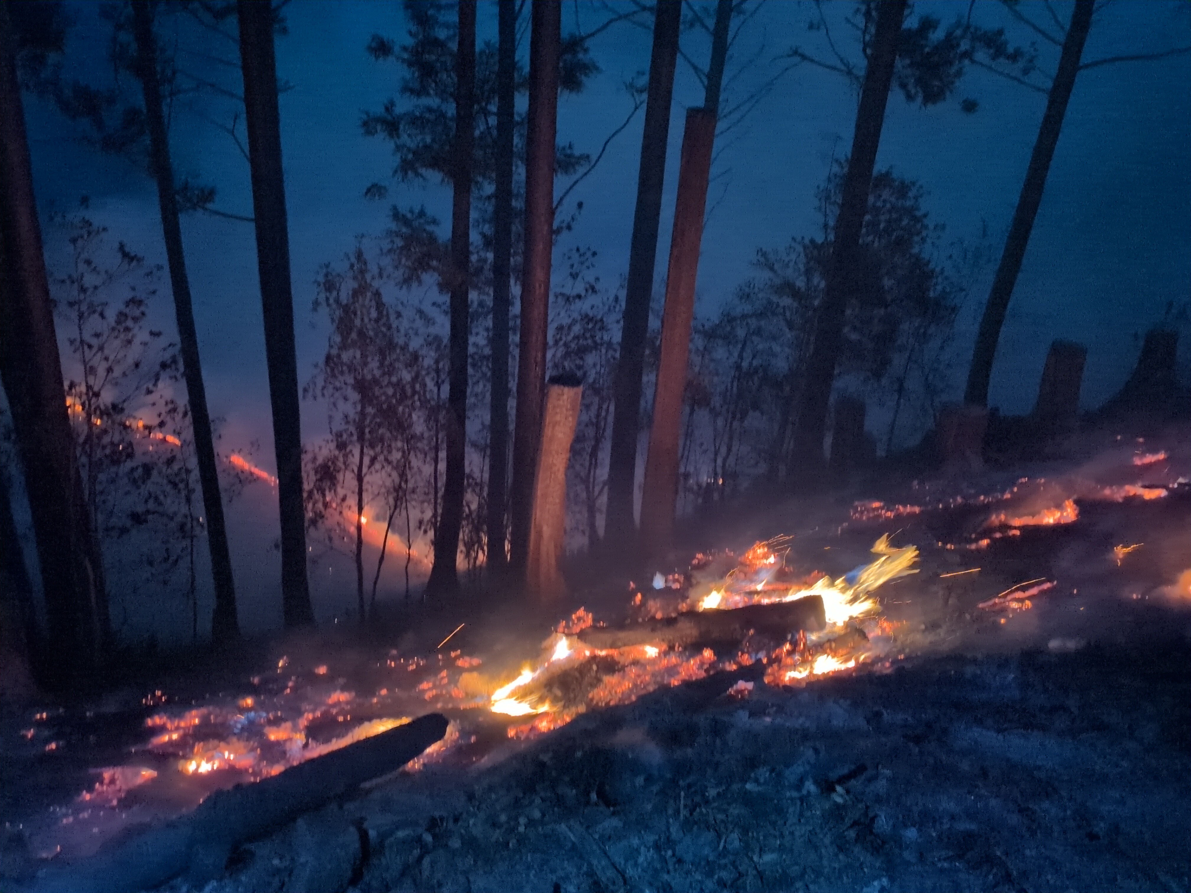 自衛隊ヘリなどが消火活動 那賀・海陽の町境で山火事【徳島】（2026年2