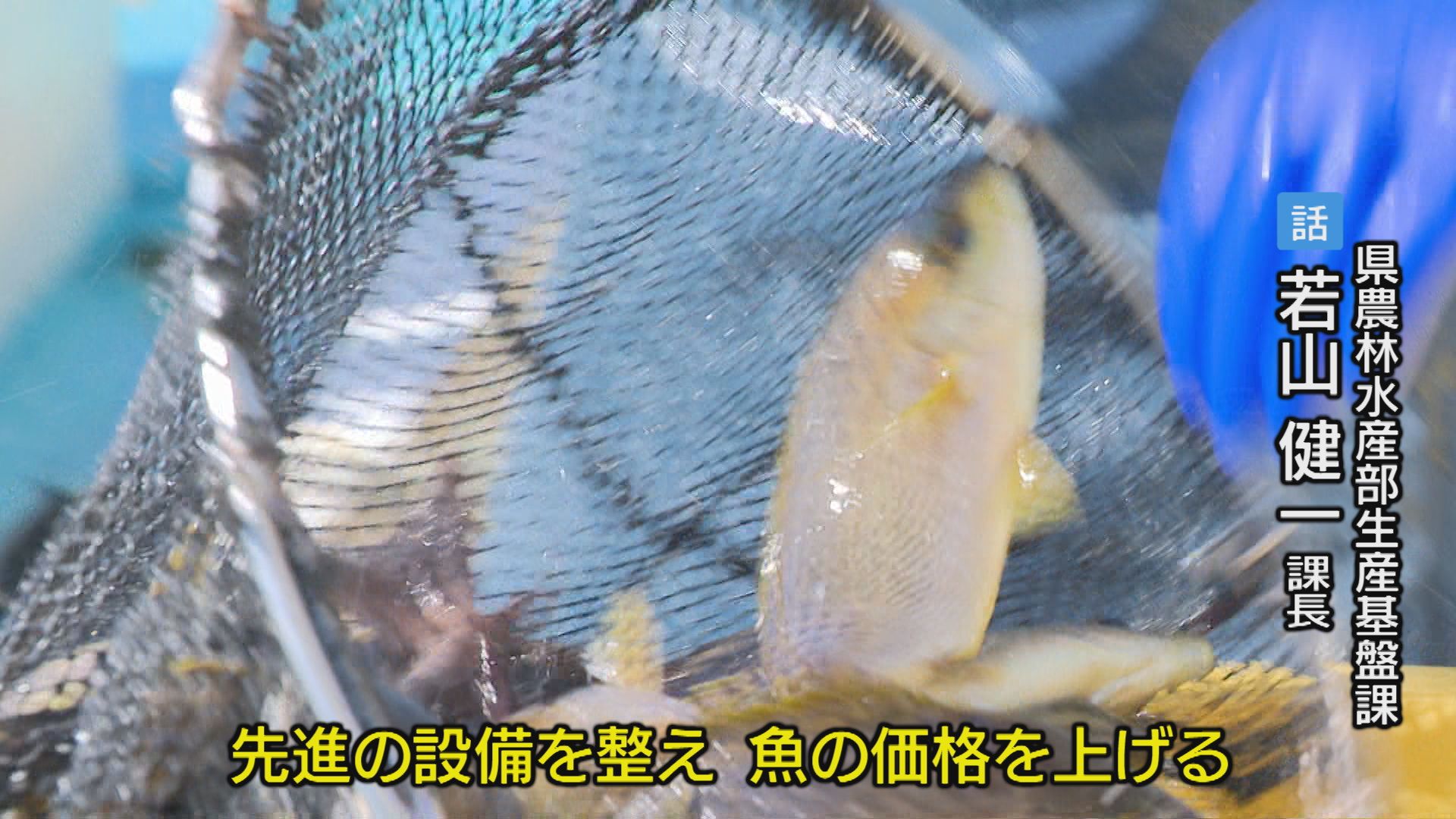 2ページ目 最先端の「荷さばき所」で見えた！水産業の未来【徳島