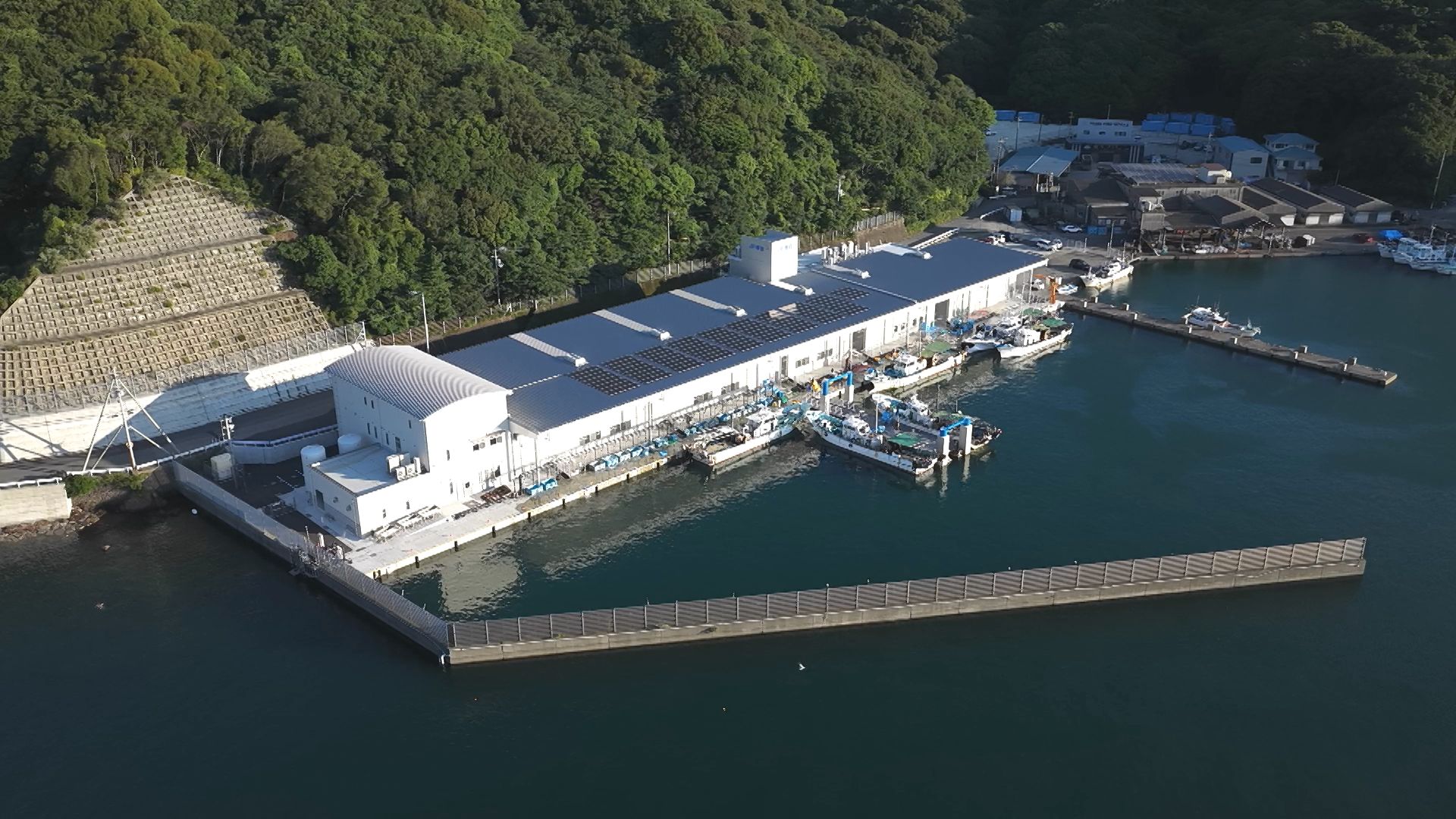 改訂増補　上海港　三井物産株式会社上海支店　希少 最先端の「荷さばき所」で見えた！水産業の未来【徳島】（2026年7月7日