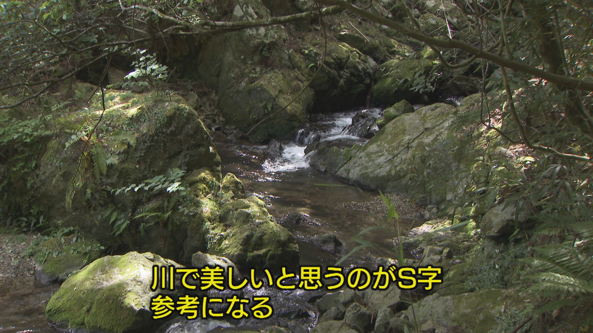 2ページ目 自然をそのまま水槽に 「水の箱庭」鳴門に達人【徳島