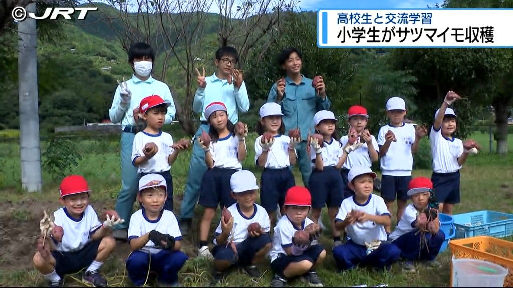 大きく育ったサツマイモを掘り出し嬉しそうな笑顔　勝浦町で小学生と高校生が交流学習【徳島】