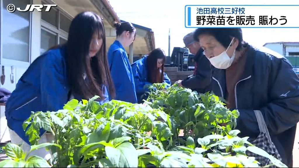 ナスやトマトなど5000株 高校生が育てた野菜の苗を販売 【徳島】