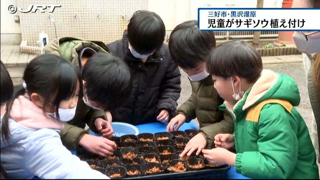 地元の小学生が黒沢湿原のシンボル「サギソウ」の植え付け【徳島】