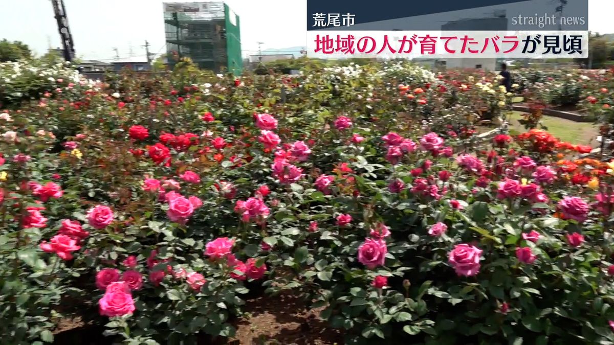 8日撮影
