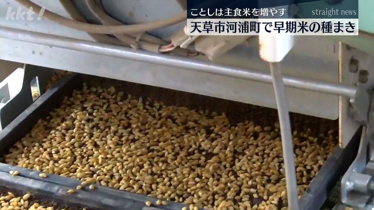 天草市河浦町で早期米の種まき コメ価格の上昇で今年は主食米の栽培を去年の2倍以上に